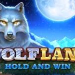 Wolf Land Hold & Win Slots