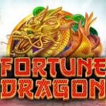 Fortune Dragon Slot